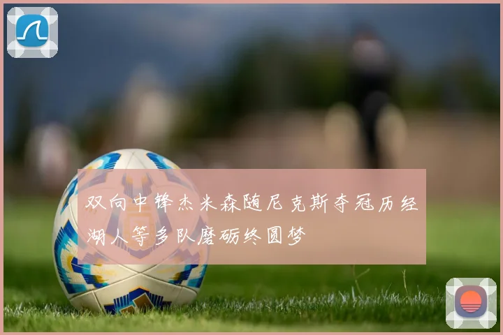 双向中锋杰米森随尼克斯夺冠历经湖人等多队磨砺终圆梦