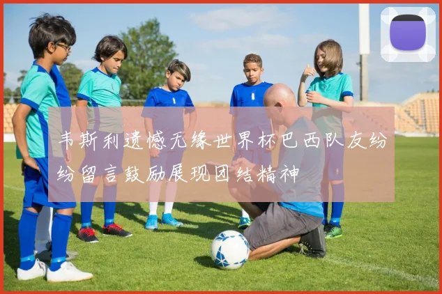 韦斯利遗憾无缘世界杯巴西队友纷纷留言鼓励展现团结精神